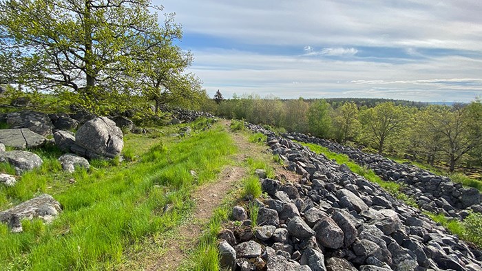 Utsikt från Broborg. Foto.