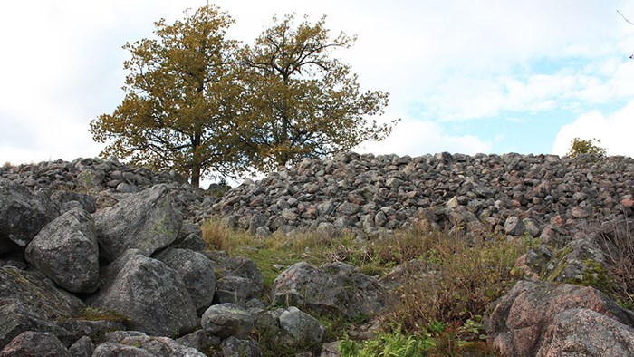 Staplade stenar och rester av fornborgen. Foto.