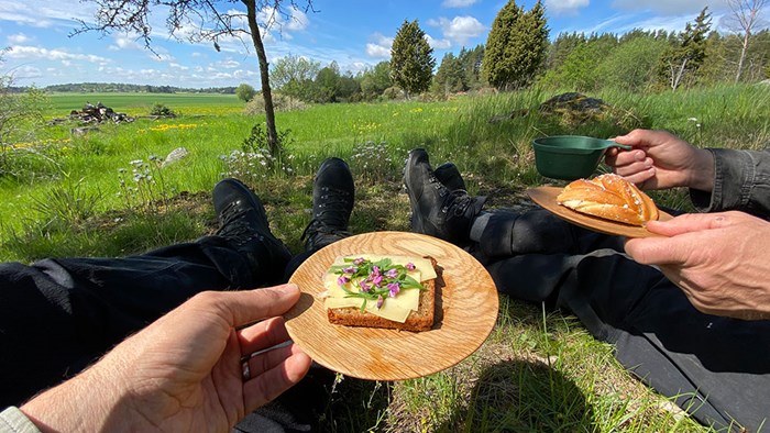 En fika i naturen med smörgås och bulle. Foto.