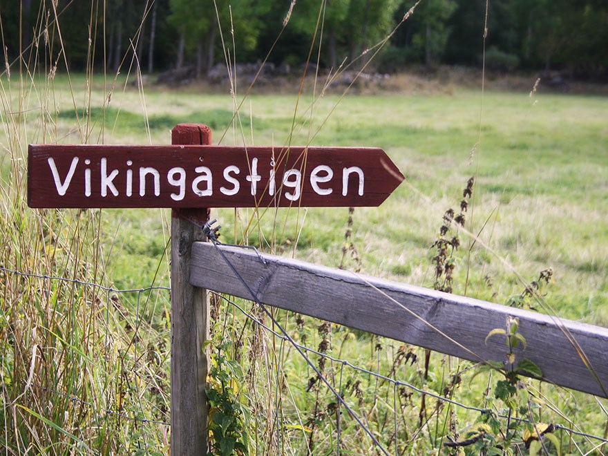 En träskylt med texten "Vikingastigen". Foto.