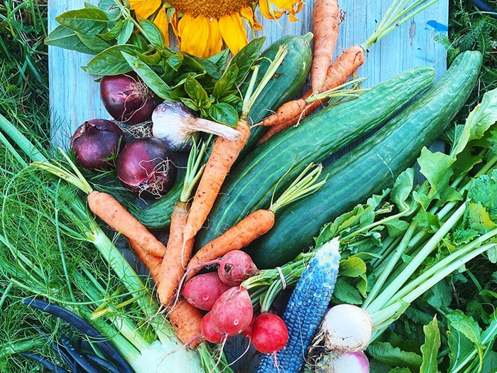 Mixed vegetables, photo.