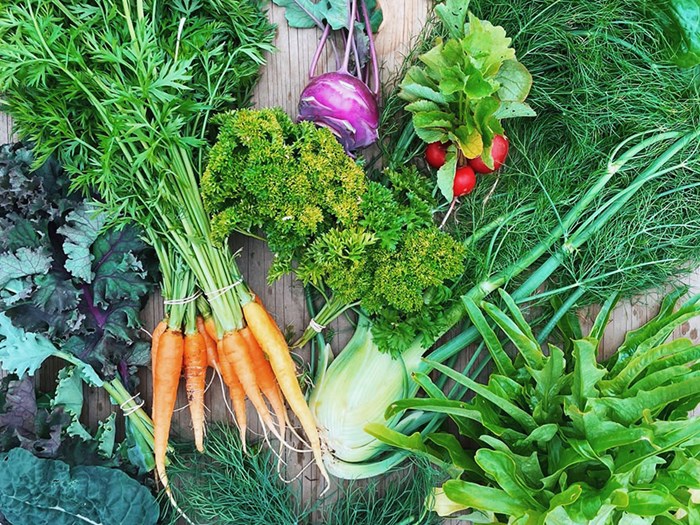 Mixed vegetables, photo.