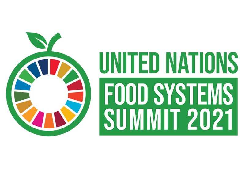 Logo för Food Systems Summit