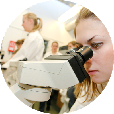 Student using microscope. Photo.