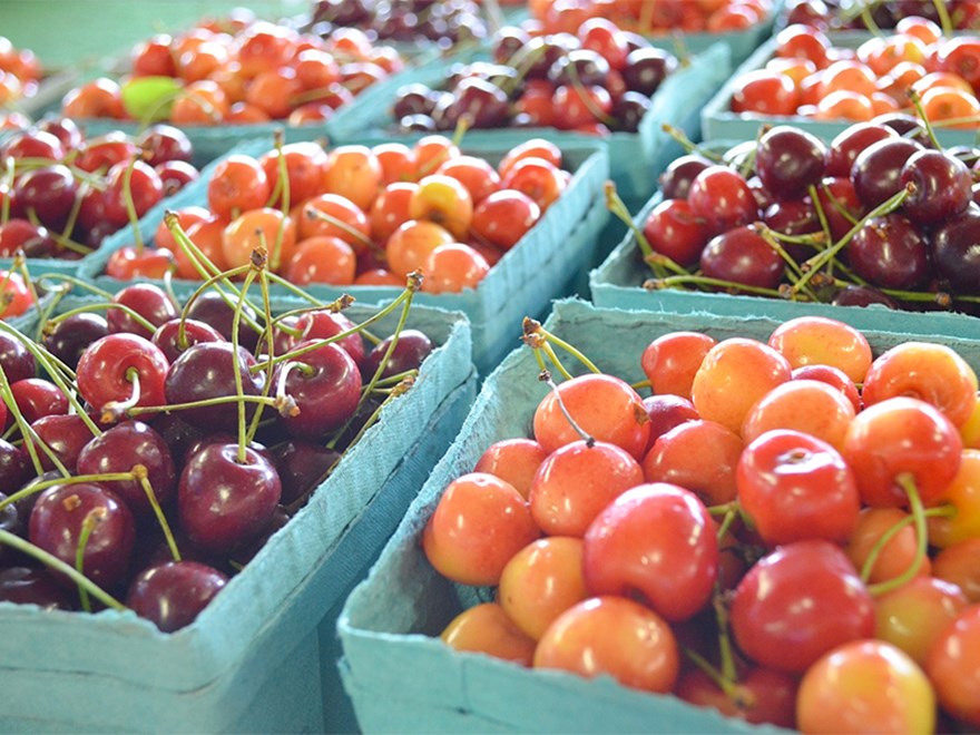 Cherries. Photo.