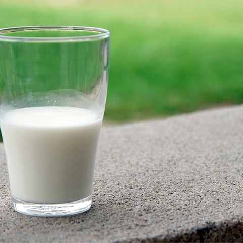 Ett mjölkglas utomhus. Foto.