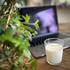 En laptop, en växt och ett mjölkglas. Foto.