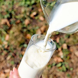 Mjölk hälls i ett glas. Foto.