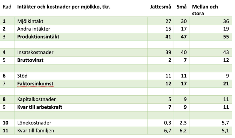 En tabell som visar intäkter och olika kostnader per mjölkko i olika företag efter storlek.
