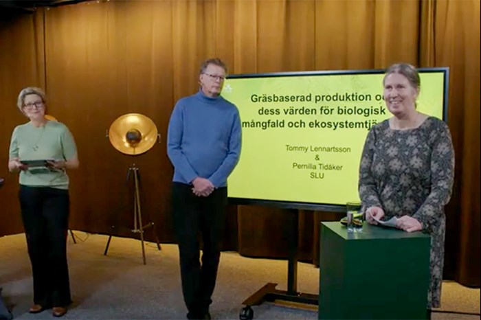 Tre personer står i en studio med en TV-skärm bakom sig. Foto.
