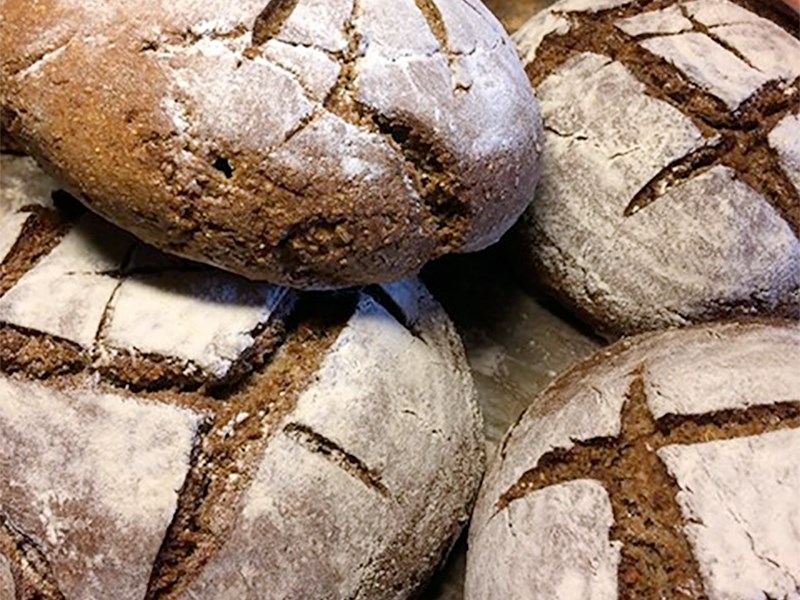 Dark bread loaves. Photo.