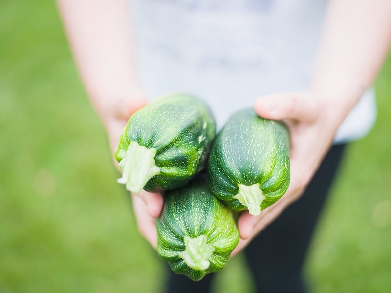 Händer håller i tre squashgrönsaker. Foto.