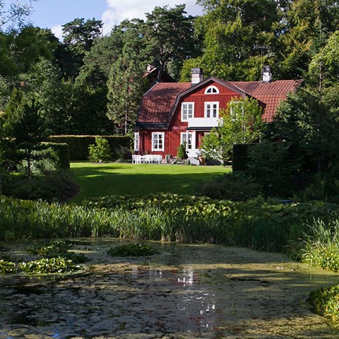 Red wooden house by a pond. Photo.