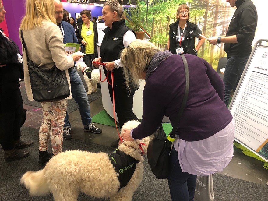 Flera personer och en hund i en monter inomhus, foto.