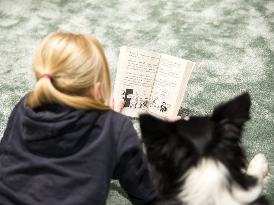 En flicka och en hund läser tillsammans, foto.