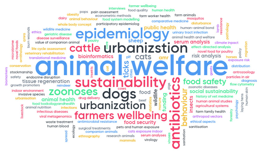 A word cloud with words related to animal welfare, illustration.