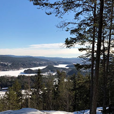 View from Österåsen over a river, photo.