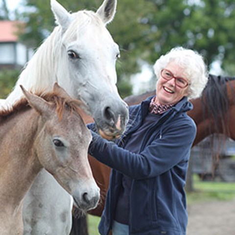 Äldre kvinna tillsammans med hästar utomhus, foto.