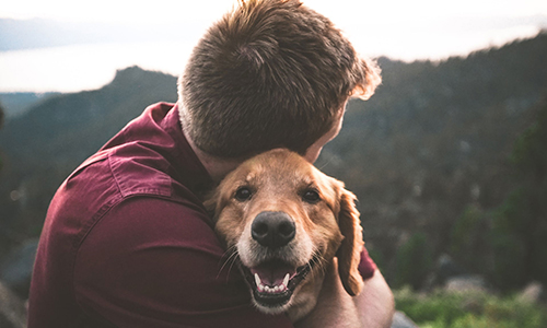 En man som kramar sin hund ute i naturen, foto.