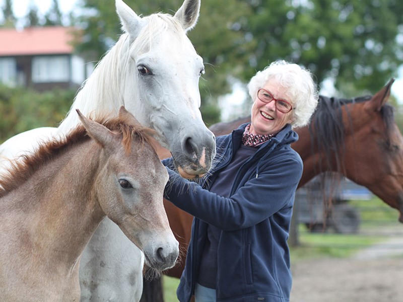 En äldra kvinna med två hästar utomhusm, foto.