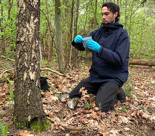 A young man squats in an autumnal forest. He is wearing blue plastic gloves and is holding a small bag with samples of some kind. Photo.