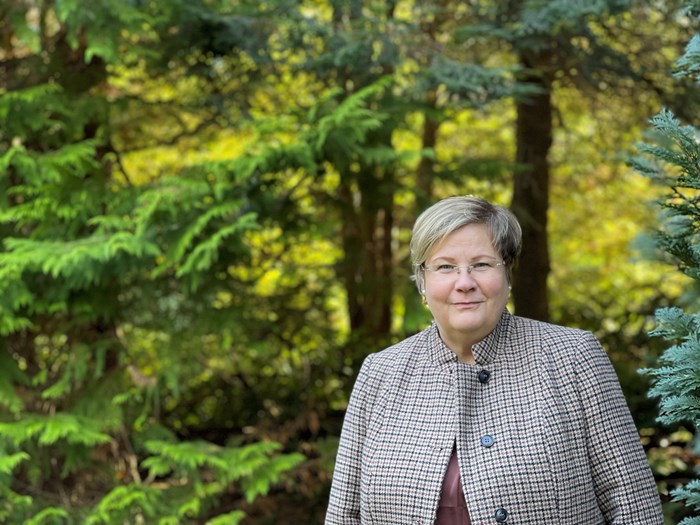 A woman with a plaid blazer in a forest. Photo.