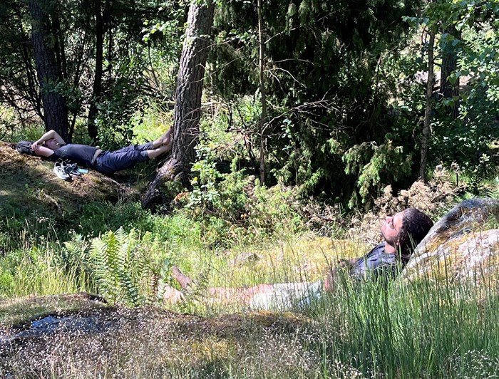 Two people lying on the ground in the forest. Photo.