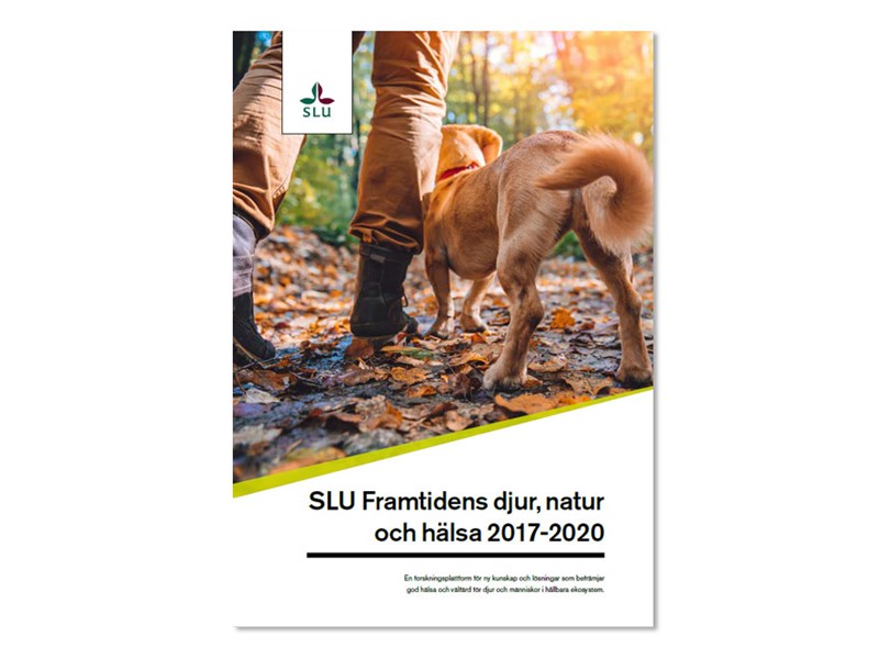 Framsidan på SLU Framtidens djur, natur och hälsas verksamhetsrapport för åren 2017-2020. Foto.