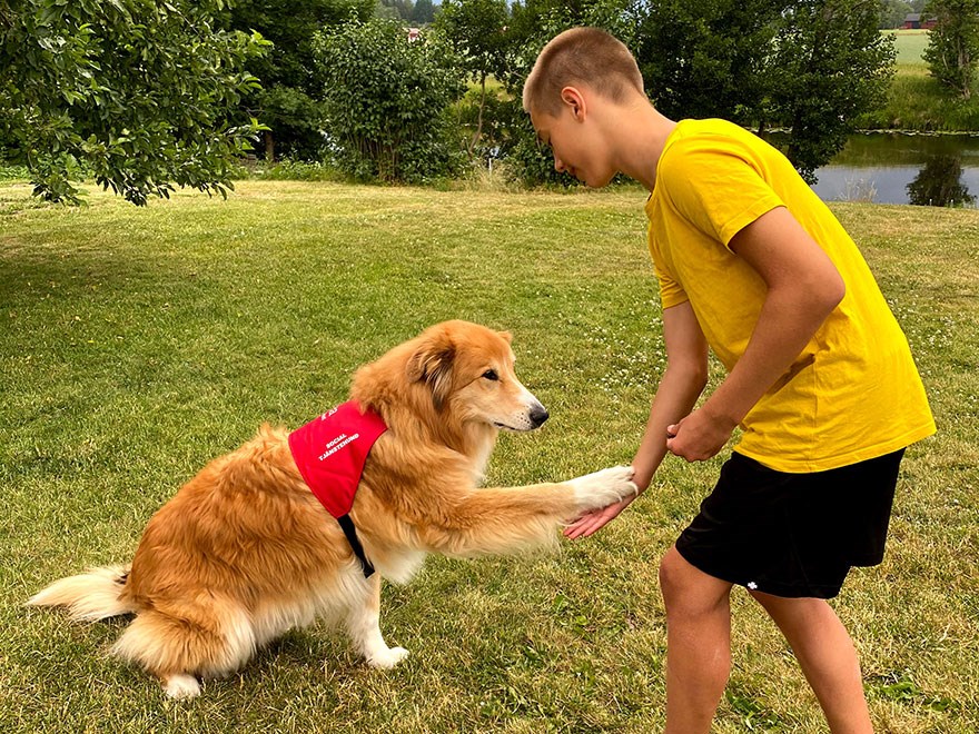 En yngre pojke leker med en social tjänstehund på en gräsmatta. Foto.