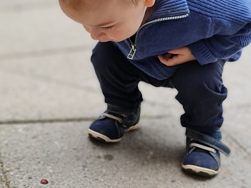 En liten pojke böjer sig ner för att titta på en nyckelpiga på marken. Foto.