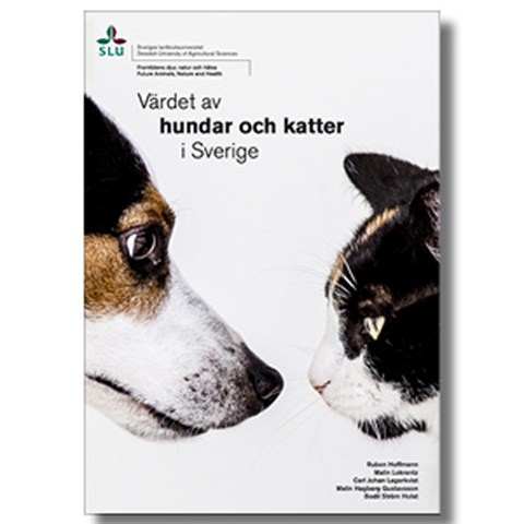 Ett rapportomslag med en hund och en katt som tittar på varandra, foto. 