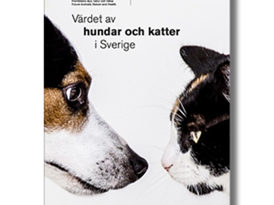 Ett rapportomslag med en hund och en katt som tittar på varandra, foto. 