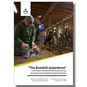 A report cover with veterinaries, photo.