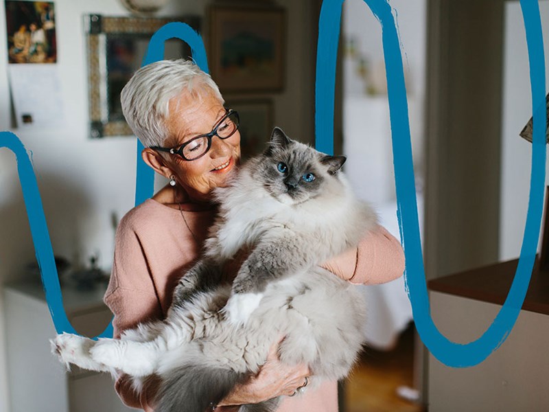 En äldre kvinna håller en katt i sin famn. En blå linje (som går upp och ner) ligger i bildens bakgrund och illustrerar en blodsockerkurva. Foto.