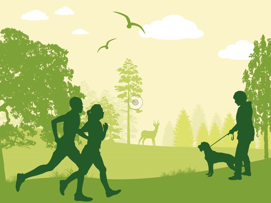 Parkmiljö, illustration.