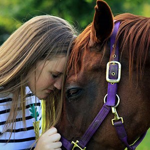 Ung kvinna som gosar med en häst, huvud mot huvud, foto.