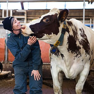 Kvinna interagerar med en svart och vit ko på en lantgård, foto.