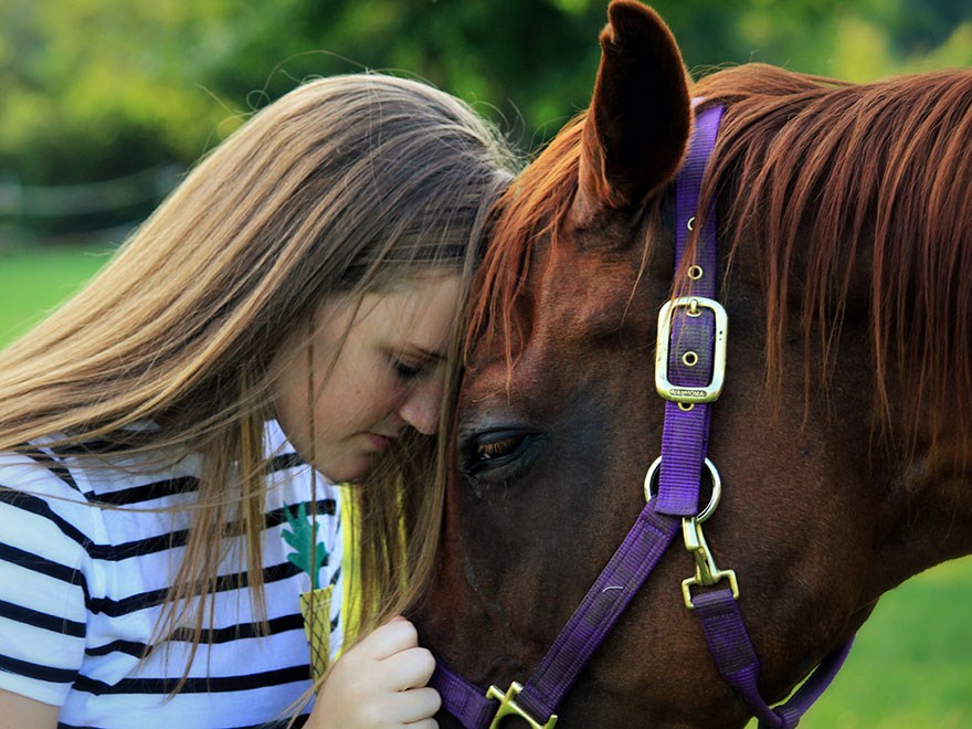 Young woman cuddling with a horse, head to head, photo.