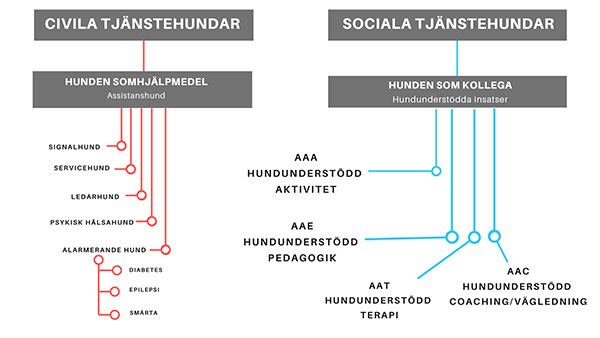 Figuren visar uppdelningen av olika kategorier av sociala tjänstehundar som finns i Sverige. Figur.