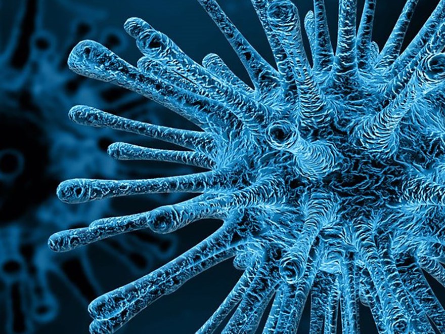 Virus. Photo.