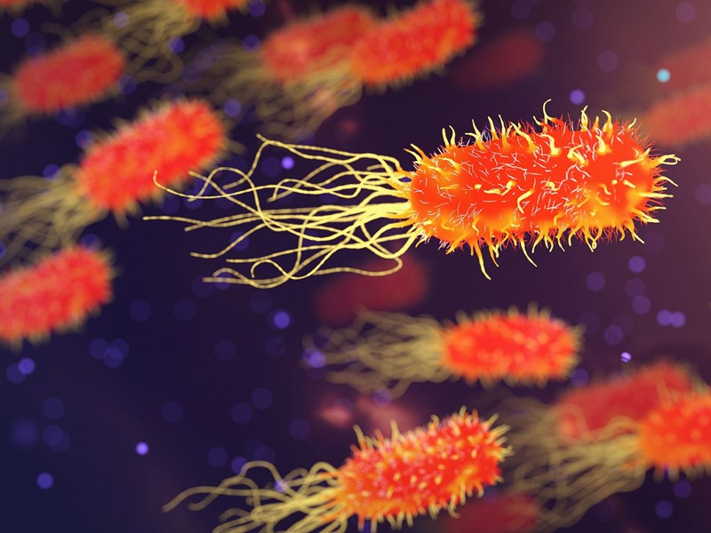 Röda bakterier mot blå bakgrund, illustration.