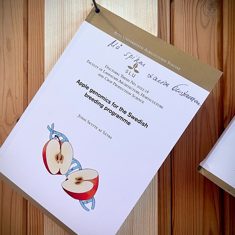 Spikad avhandling: Apple genomics for the Swedish breeding programme by Jonas Skytte af Sätra