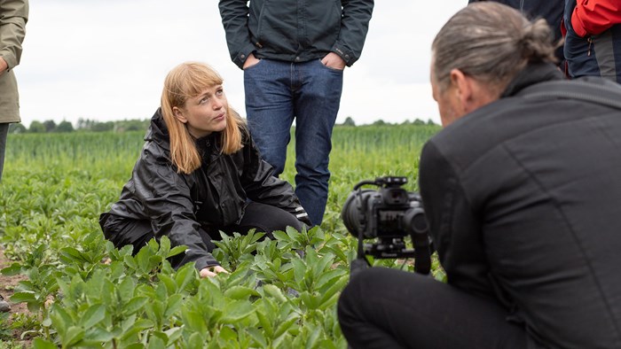 En kvinna sitter på huk i ett fält med växter. En fotograf fotograferar henne.