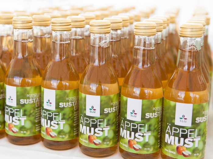 Bottles with apple juice