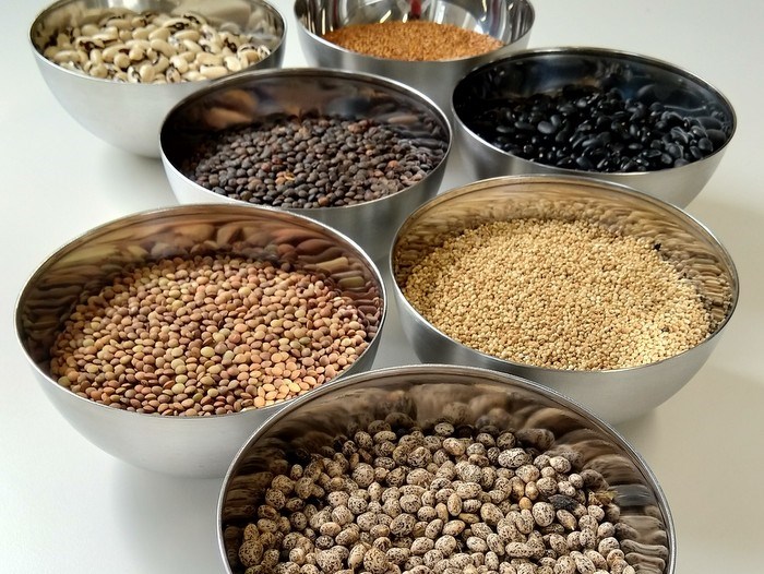 Protein crops