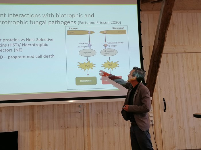 Forskaren Erik Alexandersson håller föredrag på workshop om potatis
