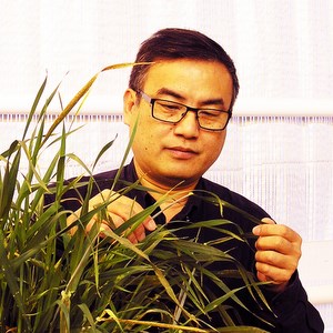 Forskare Chuanxin Sun. Foto.