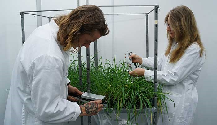 Man and woman working with plants