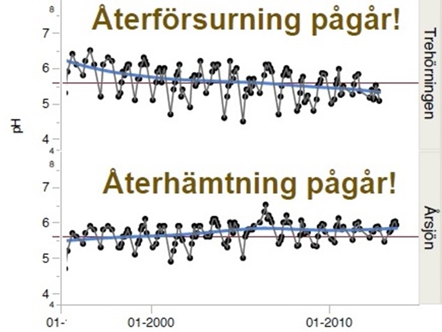 Två tidsserier. Diagram.