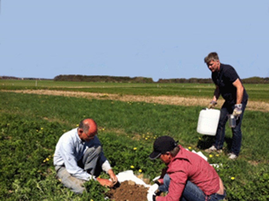 Two people examine soil in a crop field. A third person is watching them as they work.